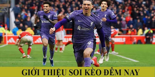 Soi Keo Dem Nay 1 Giới thiệu về soi kèo đêm nay trong bóng đá