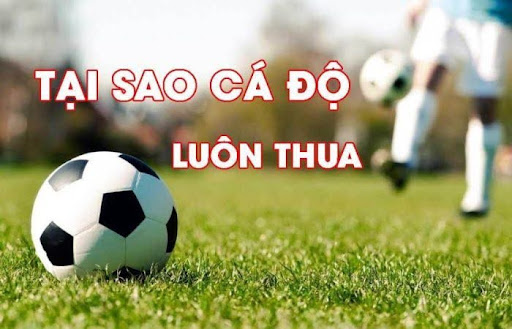 Vi sao ca do bong da luon thua 1 Vì sao cá độ bóng đá luôn thua? Nên làm gì khi thua cá cược?