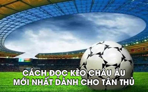 keo Chau au 2 Cách đọc kèo châu Âu mới nhất dành cho tân thủ