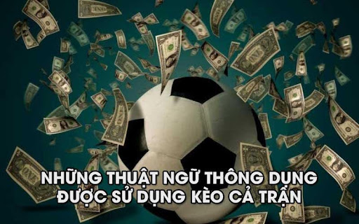 keo ca tran 2 Những thuật ngữ thông dụng được sử dụng trong Kèo cả trận