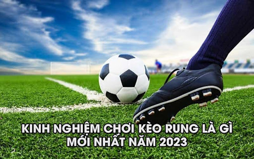 keo rung la gi 3 Kinh nghiệm chơi kèo rung là gì mới nhất năm 2024